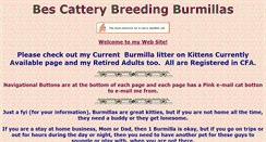 Desktop Screenshot of burmilla.us