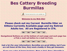 Tablet Screenshot of burmilla.us